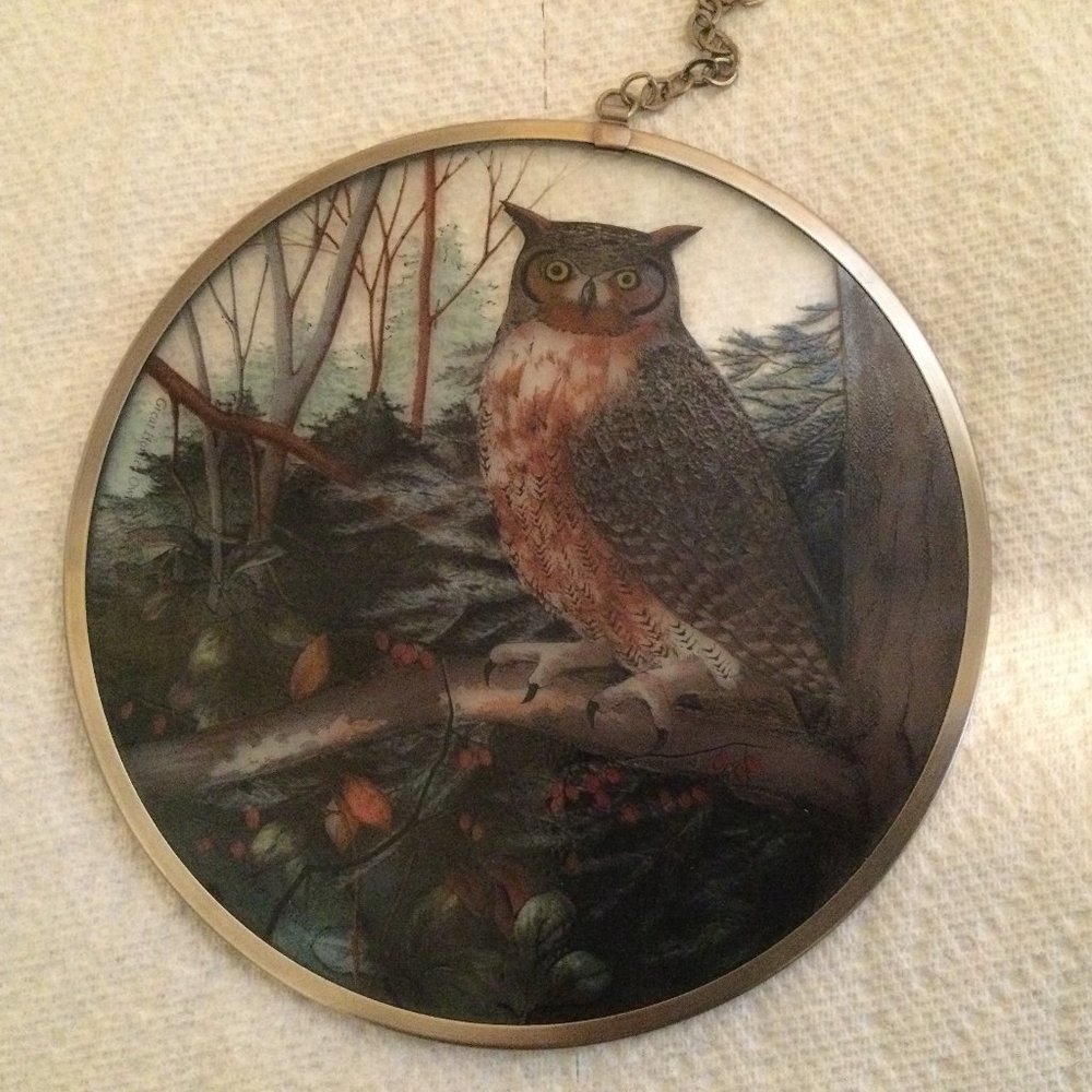glass Owl hanging suncatcher round 16cm diameter
